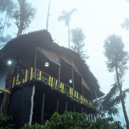 The Mountain Tree Home Wayanad Luaran gambar