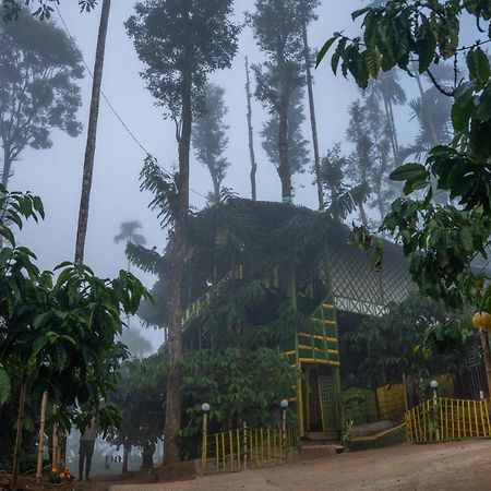 The Mountain Tree Home Wayanad Luaran gambar