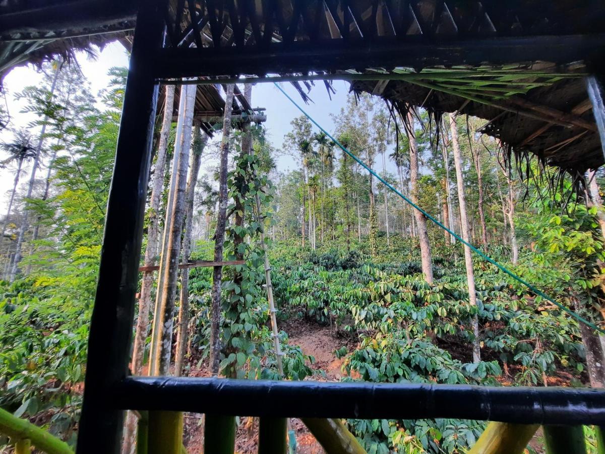 The Mountain Tree Home Wayanad Luaran gambar