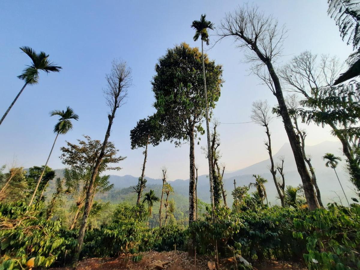 The Mountain Tree Home Wayanad Luaran gambar