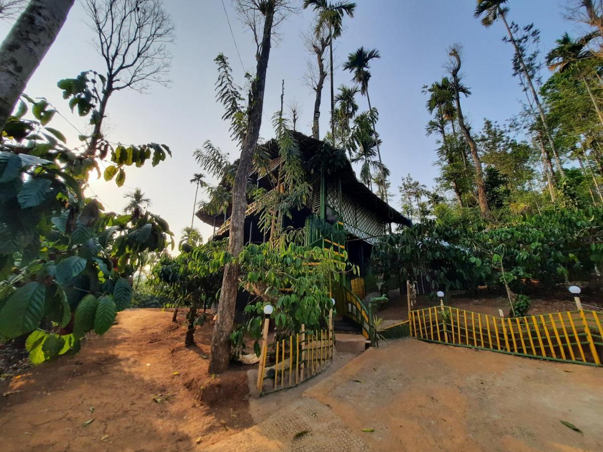 The Mountain Tree Home Wayanad Luaran gambar