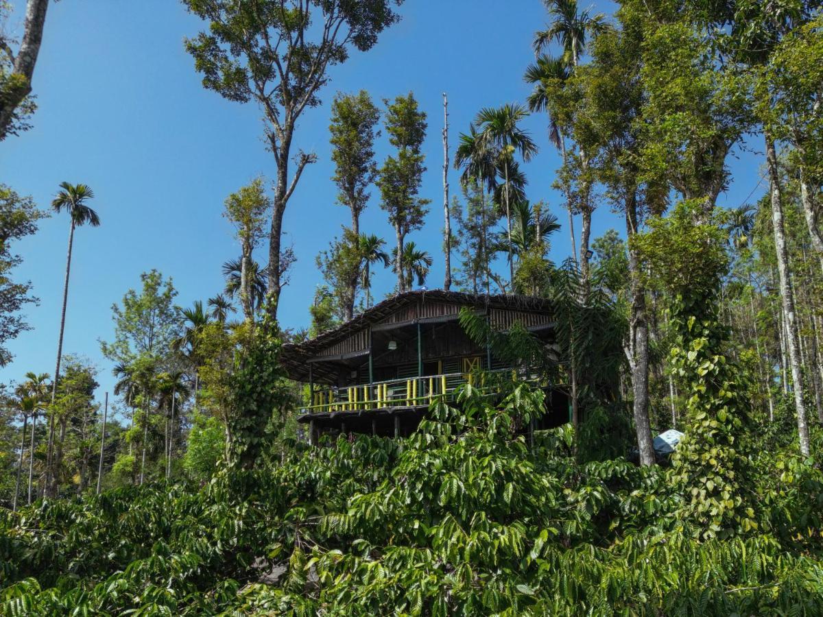 The Mountain Tree Home Wayanad Luaran gambar
