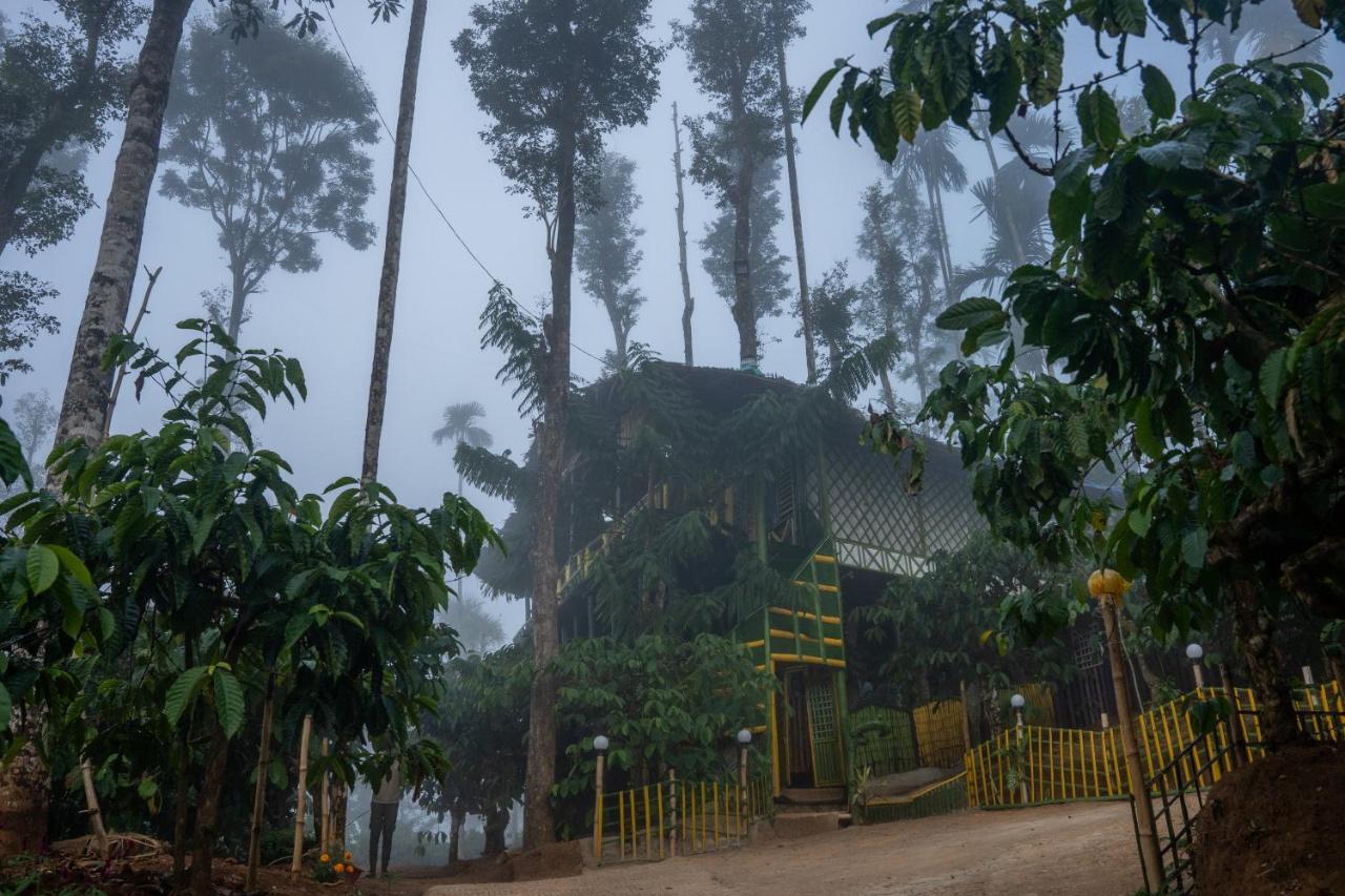 The Mountain Tree Home Wayanad Luaran gambar
