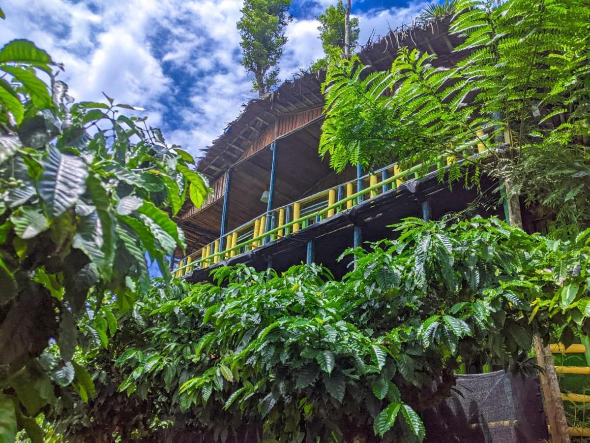 The Mountain Tree Home Wayanad Luaran gambar
